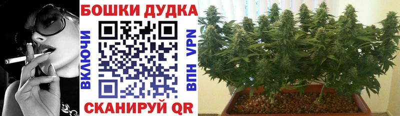 Конопля конопля  продажа наркотиков  mega рабочий сайт  Владимир 